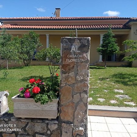 Casa Da Floresta Santiago da Guarda Eksteriør bilde