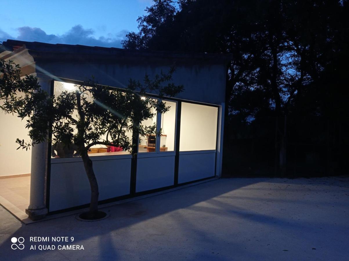 Casa Da Floresta Santiago da Guarda Eksteriør bilde