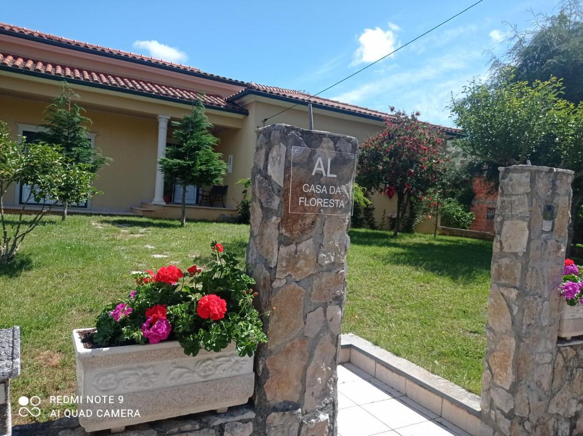 Casa Da Floresta Santiago da Guarda Eksteriør bilde